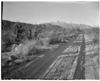 View of San Jacinto Mountains, Morongo Valley, 1935
