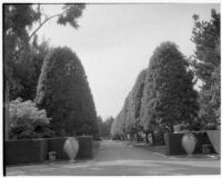 John Percival Jefferson residence, tree lined drive, Montecito, 1931