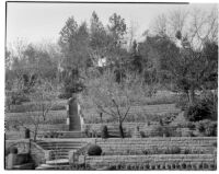 Harvey Mudd residence, broad view of hillside terraced gardens, Beverly Hills, 1933