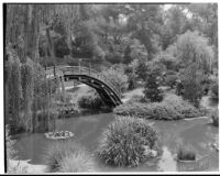 Huntington Botanical Gardens, lily pond and bridge in the Japanese garden, San Marino, 1932