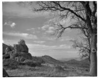 Mountain view with trees and boulders, Tehachapi Mountains, 1924-1925