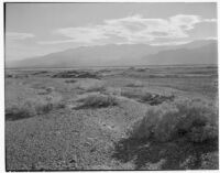 Desert shrubs and mountains, Death Valley, 1927