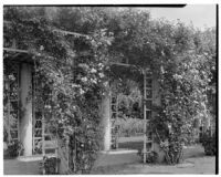 Huntington Botanical Gardens, pergola in the Rose Garden, San Marino, 1932