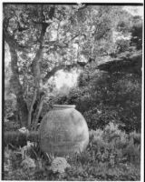 La Mortola botanical garden, view of a large terracotta urn underneath a tree, Ventimiglia, Italy, 1929