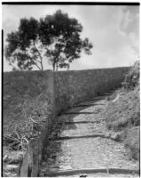 Walled-in walkway up a hill, Italy, 1929