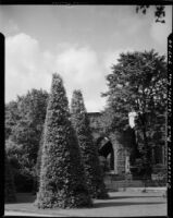 Grosvenor Park, view trees in front of the ruins of St. John the Baptist's Church, Chester, England, 1929