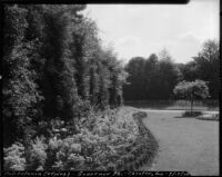 Grosvenor Park, view of Calceolaria shrub edging, Chester, England, 1929