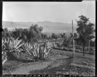 Fields outside Granada, view from the hill behind the Alhambra, Granada, Spain, 1929