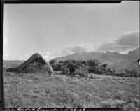 Lean-to with thatched roof and stone wall at end in a field between Ronda and Granada, Spain, 1929