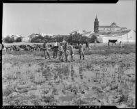 Group of men and children with a herd of cattle in a field, Los Palacios y Villafranca, Spain, 1929