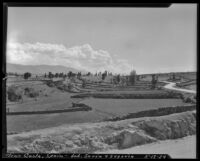 Fields near Casla, view from a road, Spain, 1929