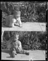 Baby Rosita Dee Cornell sitting and crawling on the ground outside, California, 1931