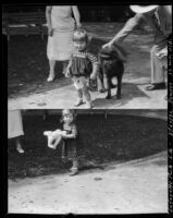 Rosita Dee Cornell with a dog and a teddy bear in Lafayette Park, Los Angeles, 1932