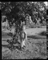 Two-year-old Rosita Dee Cornell wearing a striped outfit, standing by a tree, California, 1932