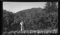 Ralph D. Cornell holding his daughter, Rosita Dee, in front of Blueblossom bushes, Sierra Madre, 1932