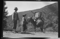 Two men leading a mule with a rocking chair strapped to its back, Spain, 1929