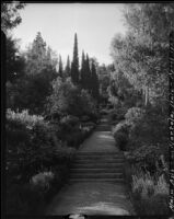 La Mortola botanical garden, view down the main path, Ventimiglia, 1929