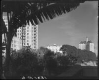 View from garden of the Chamber of Commerce building towards the Villa Riviera, Long Beach, 1932