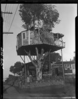 Tree house of Amos Aspey, Los Angeles