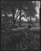 Dominguez Rancho Adobe, flower garden, Carson, 1929