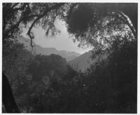Saddle Peak, Los Angeles, 1923