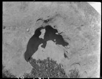 Rock formation near Saddle Peak, Los Angeles, 1929