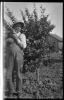 Harve Brillhart, uncle of Adelbert Bartlett, in his apricot orchard in the San Joaquin Valley, near Patterson, 1927