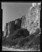 Palisades Park cliff and agaves, Santa Monica, 1929