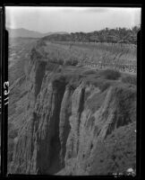 Palisades Park cliffs with walkways and palm trees, Santa Monica, 1929