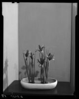 Japanese style flower arrangement by Margaret Preininger, Los Angeles, 1935
