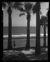 Girl standing next to palm tree in coastal park, Long Beach, 1932