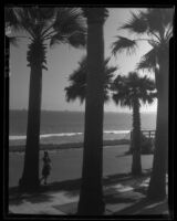 Girl standing next to palm tree at a coastal park, Long Beach, 1932