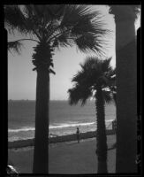 Girl gazing at the ocean from a coastal park, Long Beach, 1932