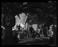 Movie making in Palisades park, Santa Monica, 1938