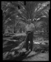 H. Bedford-Jones with lawn mower, near Palm Springs, 1934