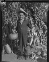 Boy with corn and pumpkins, Los Angeles, circa 1935