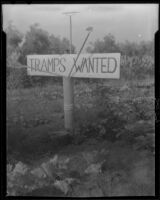 Tramps Wanted sign, Visalia, 1920
