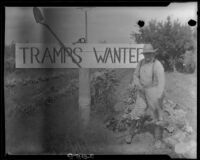Man with Tramps Wanted sign, Visalia, 1920