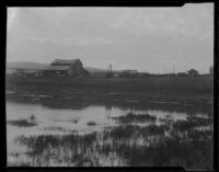 Farm in a wetland area, San Pedro, [1920-1939?]