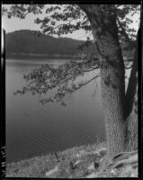 View from the north shore of Lake Arrowhead, 1929