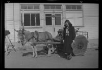 Donkey and cart, Tijuana, 1931
