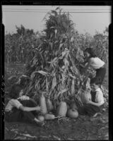 Carolyn Bartlett, Sonny Cates, and Maxine Cates with corn and pumpkins, Santa Monica, 1931