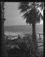Santa Monica Bay from Palisades Park, Santa Monica, [1928?]