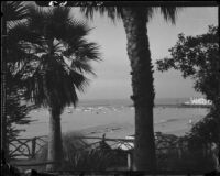 Santa Monica Bay from Palisades Park, Santa Monica, [1930s?]