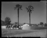 Cowboys riding horses on dirt road next to affluent residential property, Palm Springs