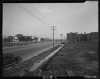 Street lined by apartment buildings, Long Beach, 1929