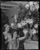Carolyn Briggs with either Mrs. E. E. Hedges or Mrs. Emma Kantz posing with night blooming cereus flowers, Santa Monica, 1934