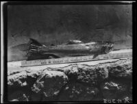Trout and yardstick, Lake Arrowhead, 1929