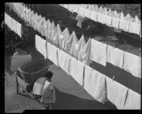 Woman and girl hanging laundry, Los Angeles, circa 1935
