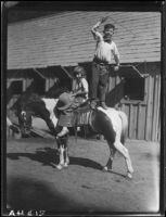 Child rodeo perfomer Little Buck Dale doing rope trick standing on horse, Lake Arrowhead rodeo, Lake Arrowhead, 1929